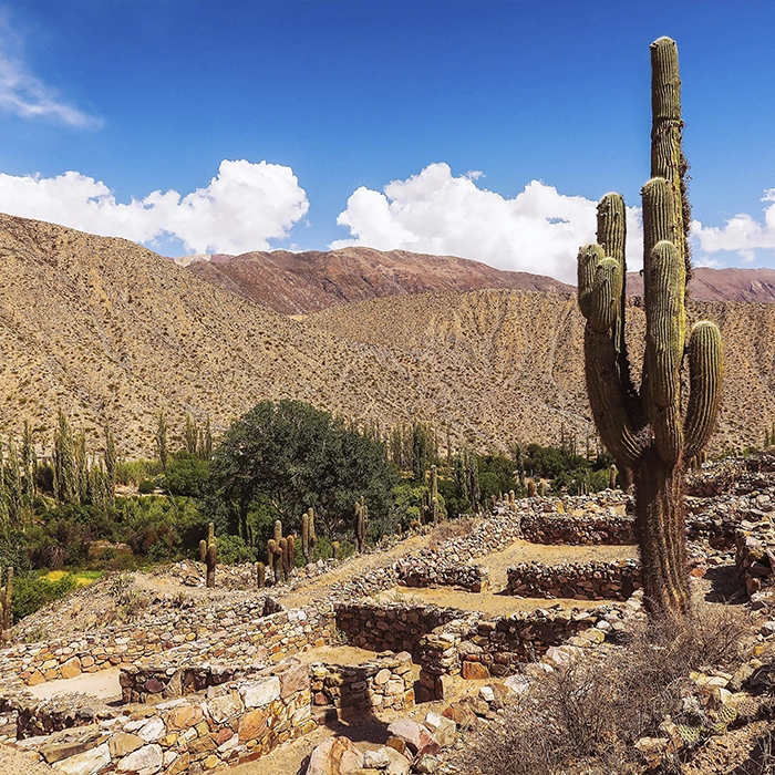 Traslado al aeropuerto de Jujuy